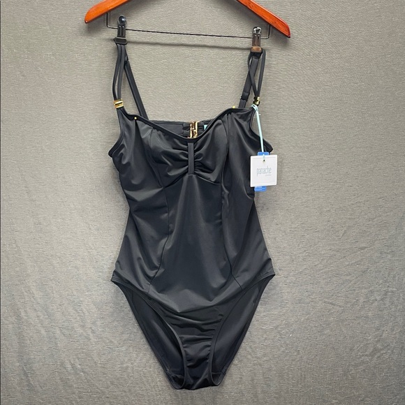 Panache Black and Gold One-Piece Swimsuit‎ with Adjustable Straps - Picture 1 of 9